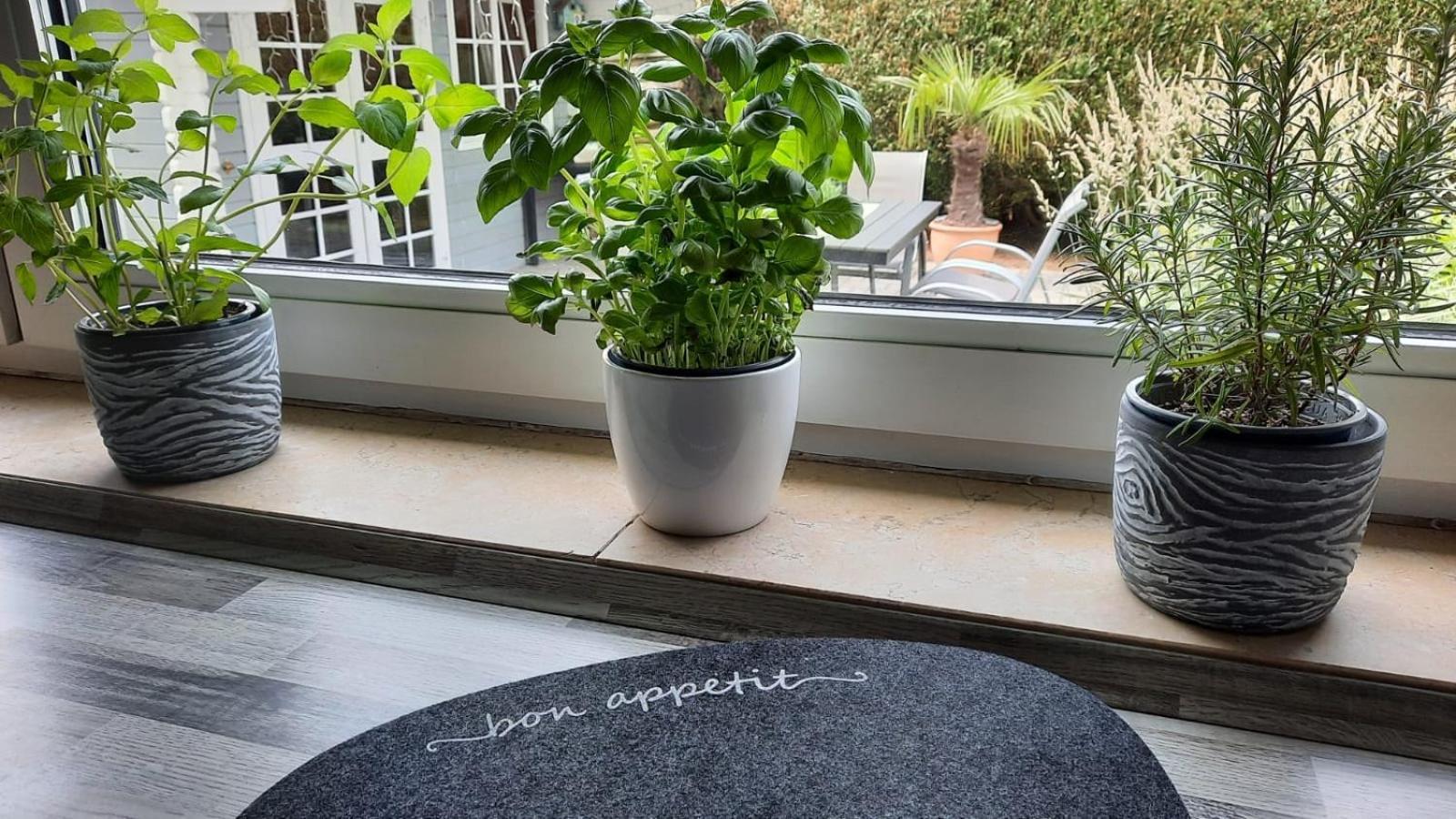 Ferienhaus Werner Im Vogelsberg Grebenhain エクステリア 写真